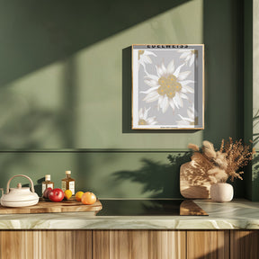 Edelweiss - National flower of Switzerland Poster