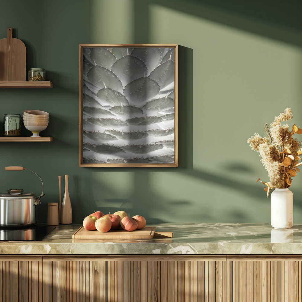 Spiral Succulent Poster