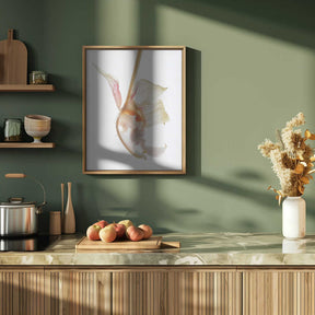 Petal Symphony Poster