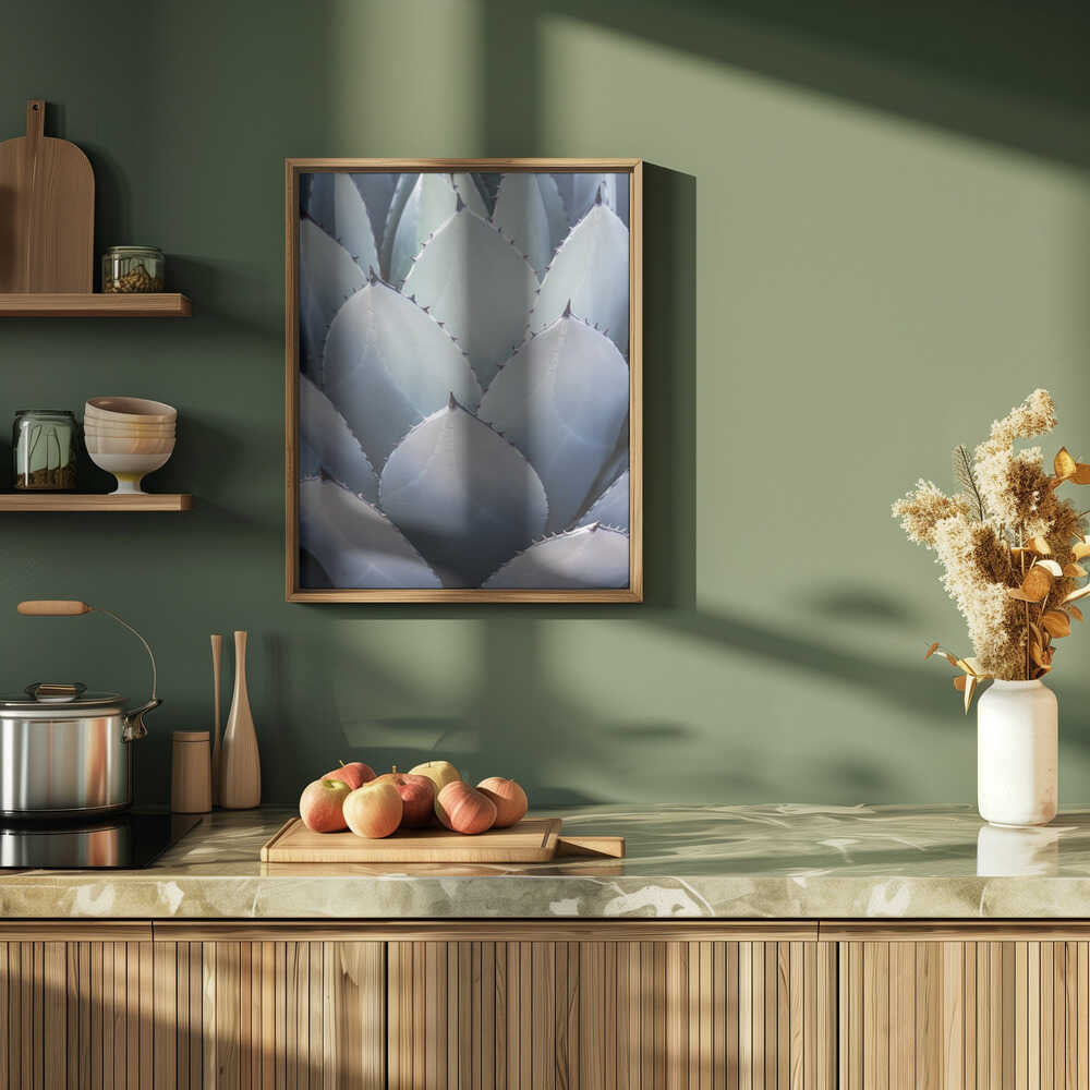 Agave Geometry Poster