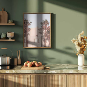 Palm Shadows Poster