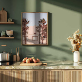 Palm Shadows Poster