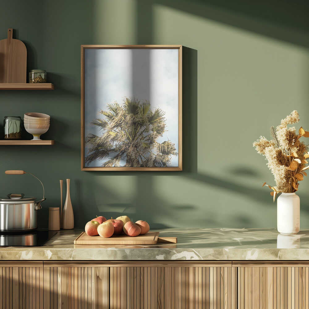 Sunlit Fronds Poster
