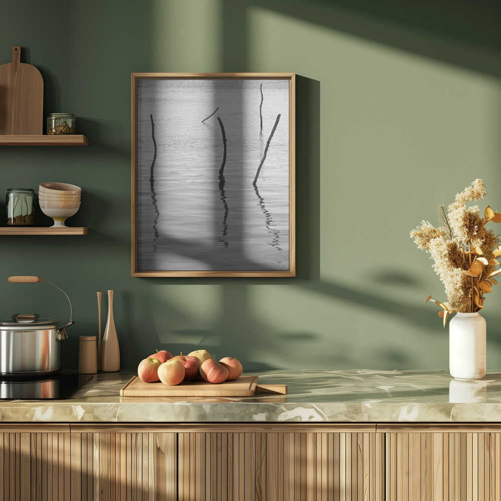 Silent Reflections Poster