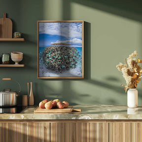 Coral Ball from Mayotte Poster