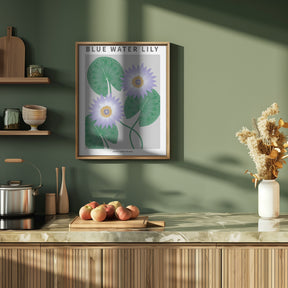 Blue Water Lily - National flower of Sri Lanka Poster