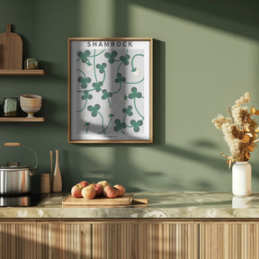 Shamrock - National flower of Ireland Poster
