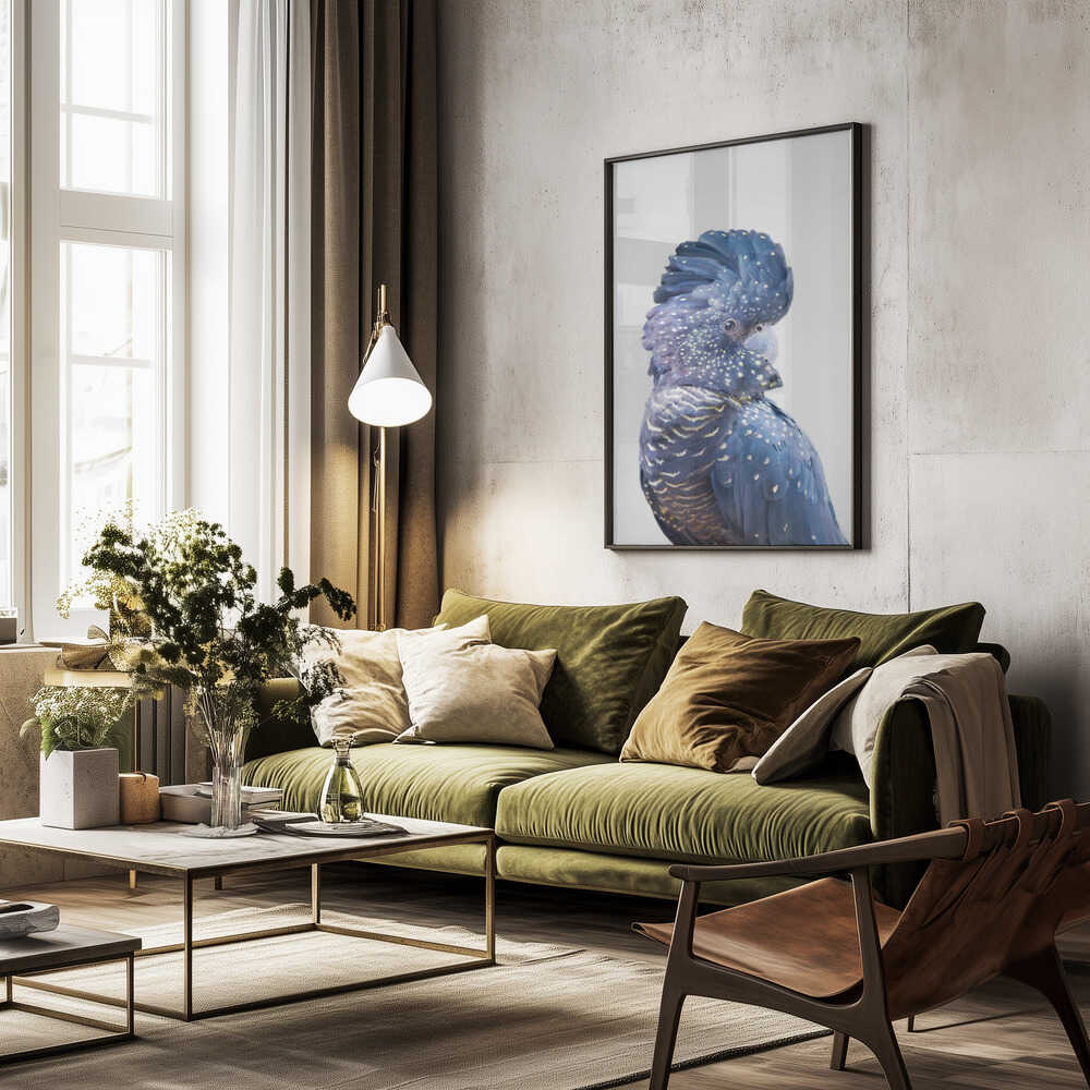 Black Cockatoo Poster