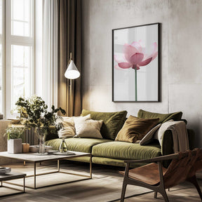 Lotus Flower Poster
