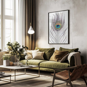 Peacock Feather Poster
