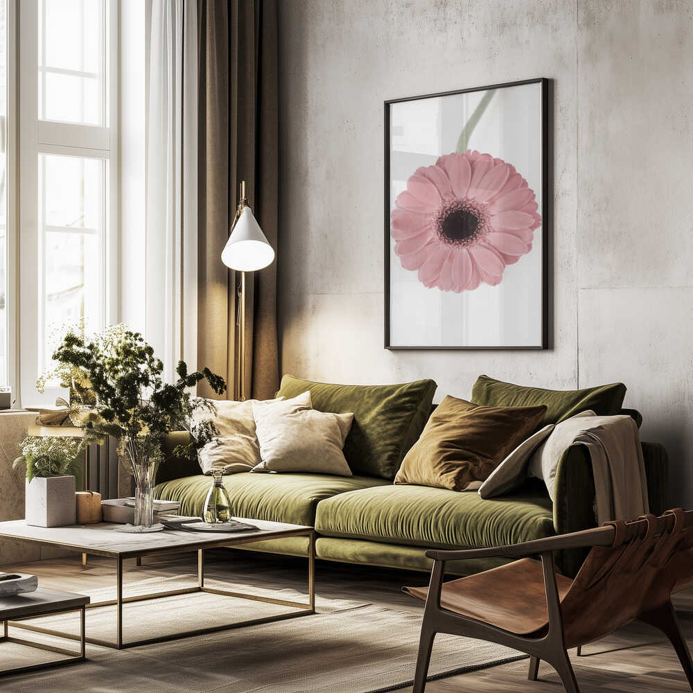 Pink Gerbera II Poster