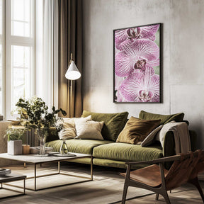 Tiger Blooms Poster