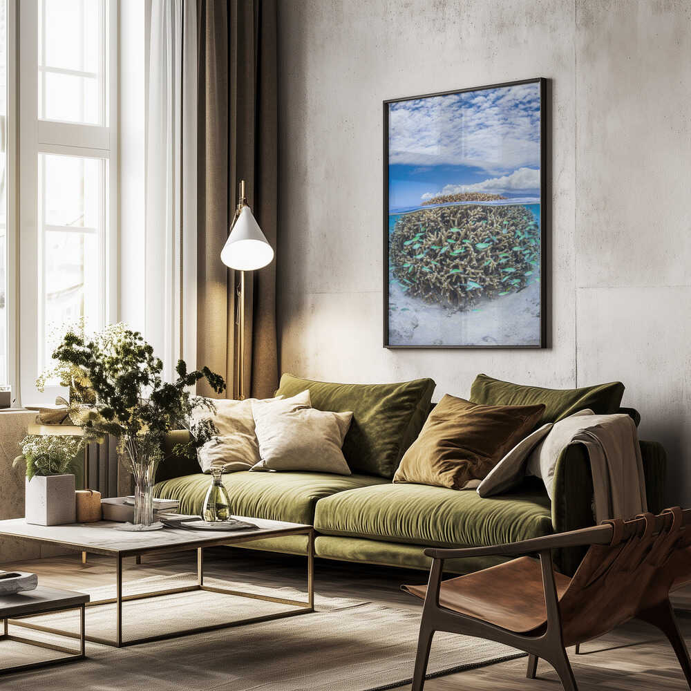 Coral Ball from Mayotte Poster