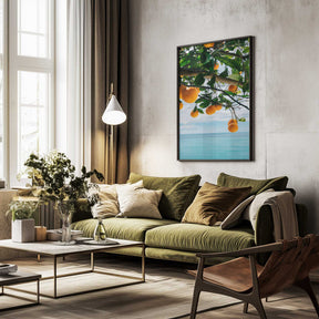 Amalfi Coast Oranges IV Poster