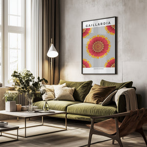 Gaillardia - National flower of Belgium Poster