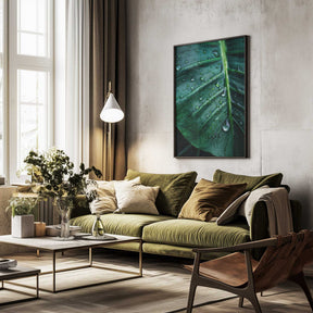 Rain Kissed Leaf Poster