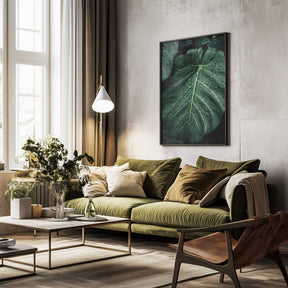 Rain Kissed Leaves Poster