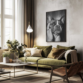 Petting a Frenchie Poster