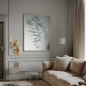 Eucalyptus I Poster