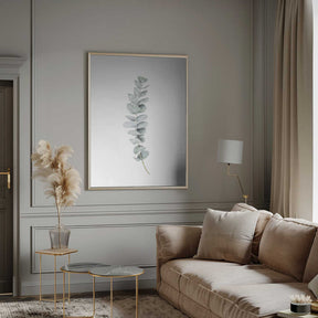 Eucalyptus II Poster
