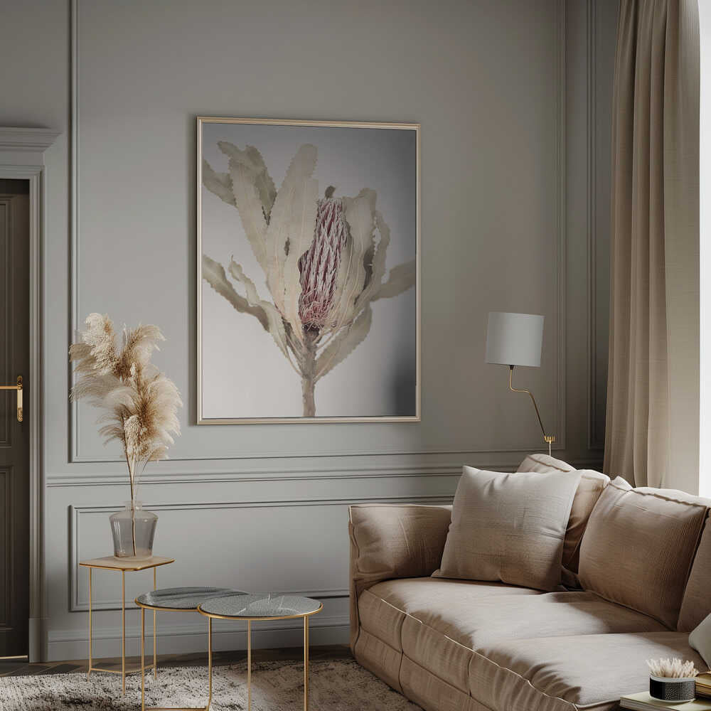 Banksia Poster