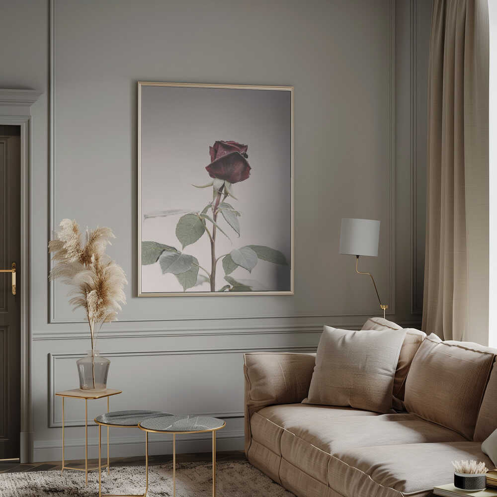 Rose Poster