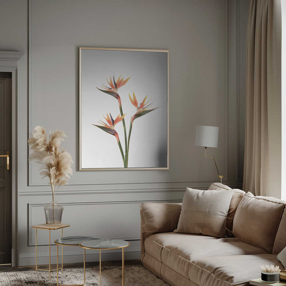 Birds of Paradise Poster