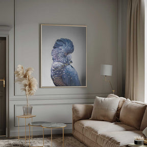 Black Cockatoo Poster