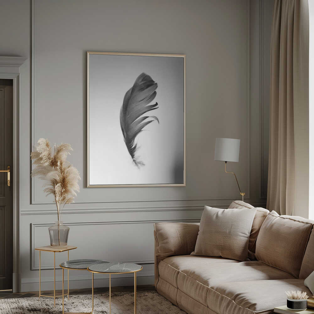 Feather Poster