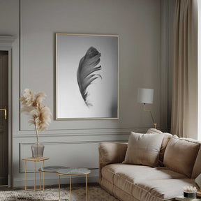 Feather Poster