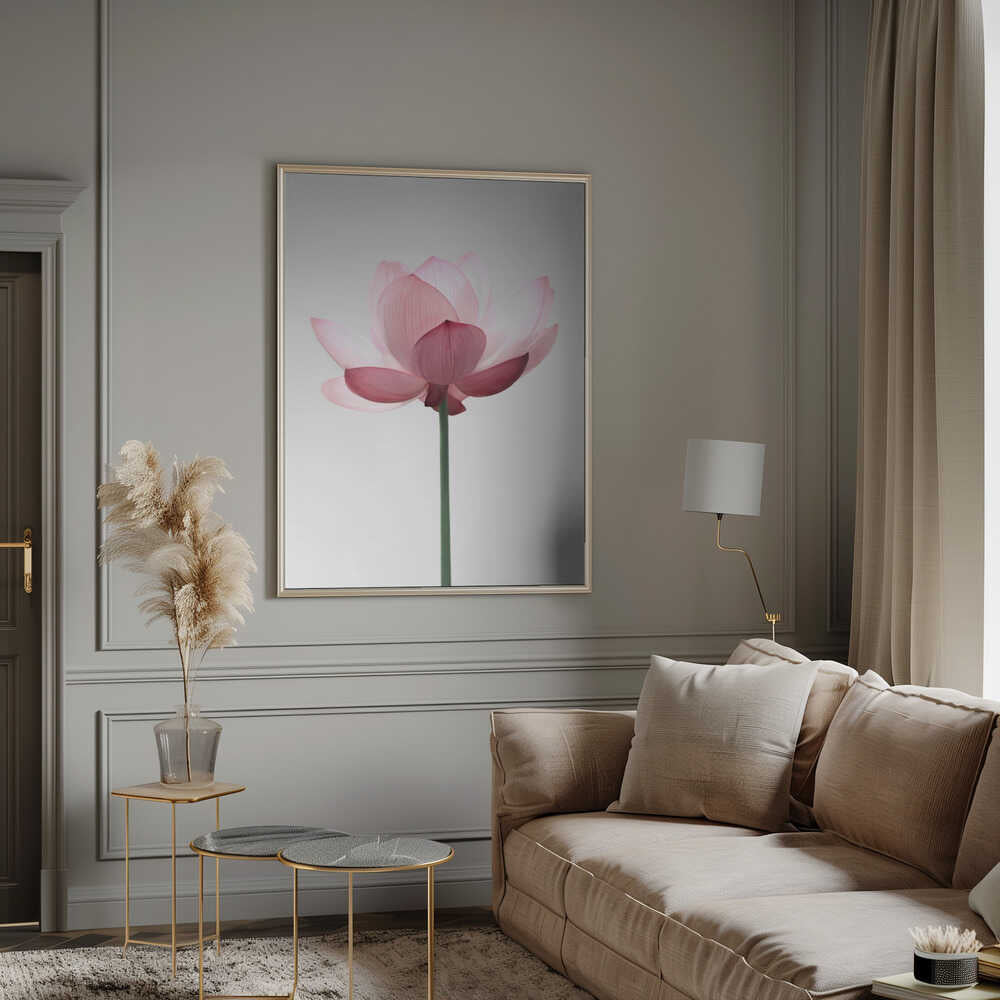 Lotus Flower Poster
