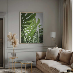 Jungle Poster
