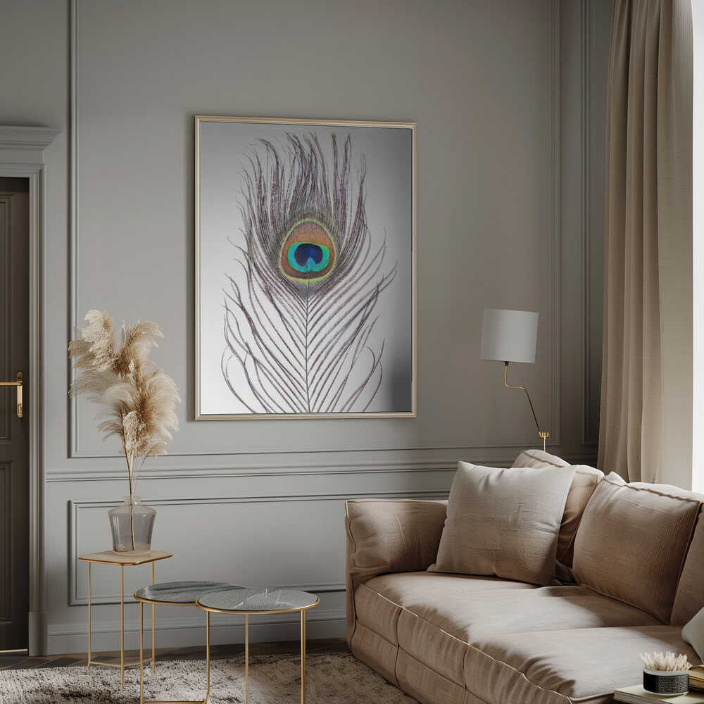 Peacock Feather Poster