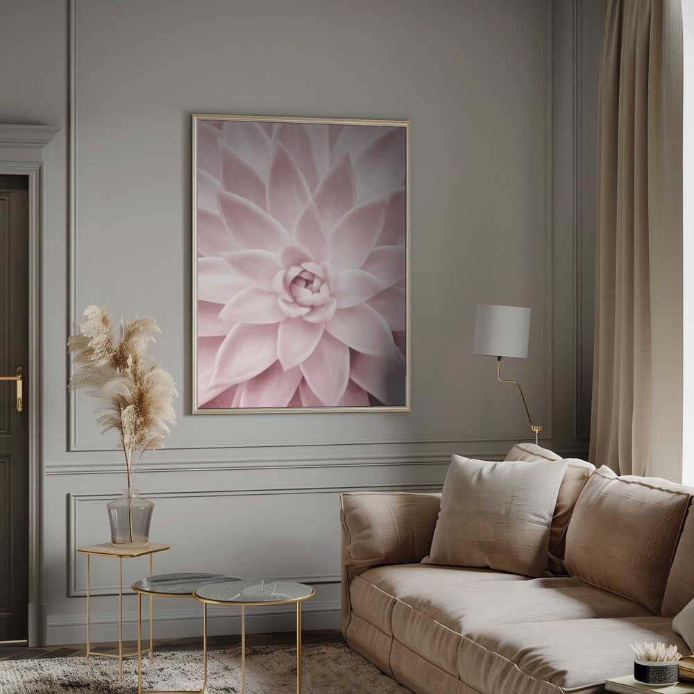 Pink Succulent Poster