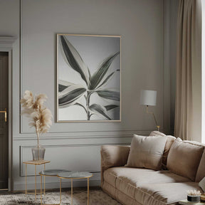 Foliage Poster