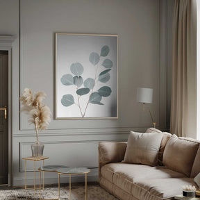 Silverdollar Poster