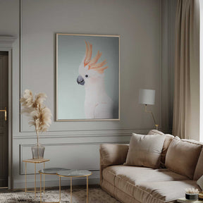 Cockatoo Poster