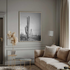 Saguaro B&amp;W Poster