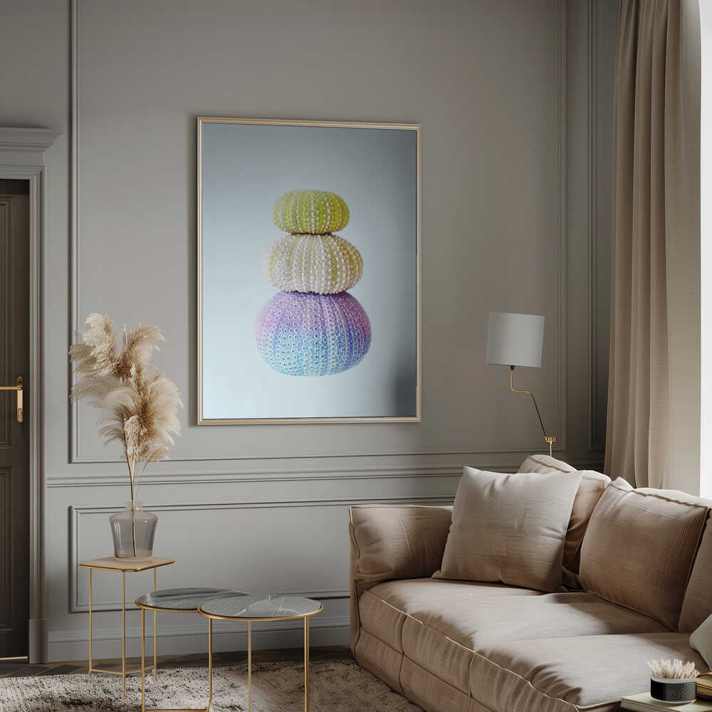 Sea Urchins Poster