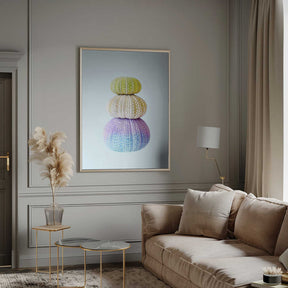 Sea Urchins Poster