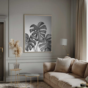 Monstera leaves in loose watercolor bw Poster