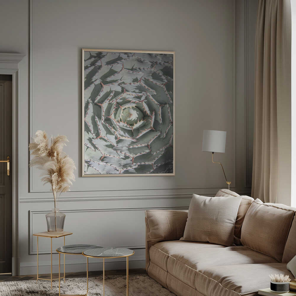 Spiral Succulent Maze Poster
