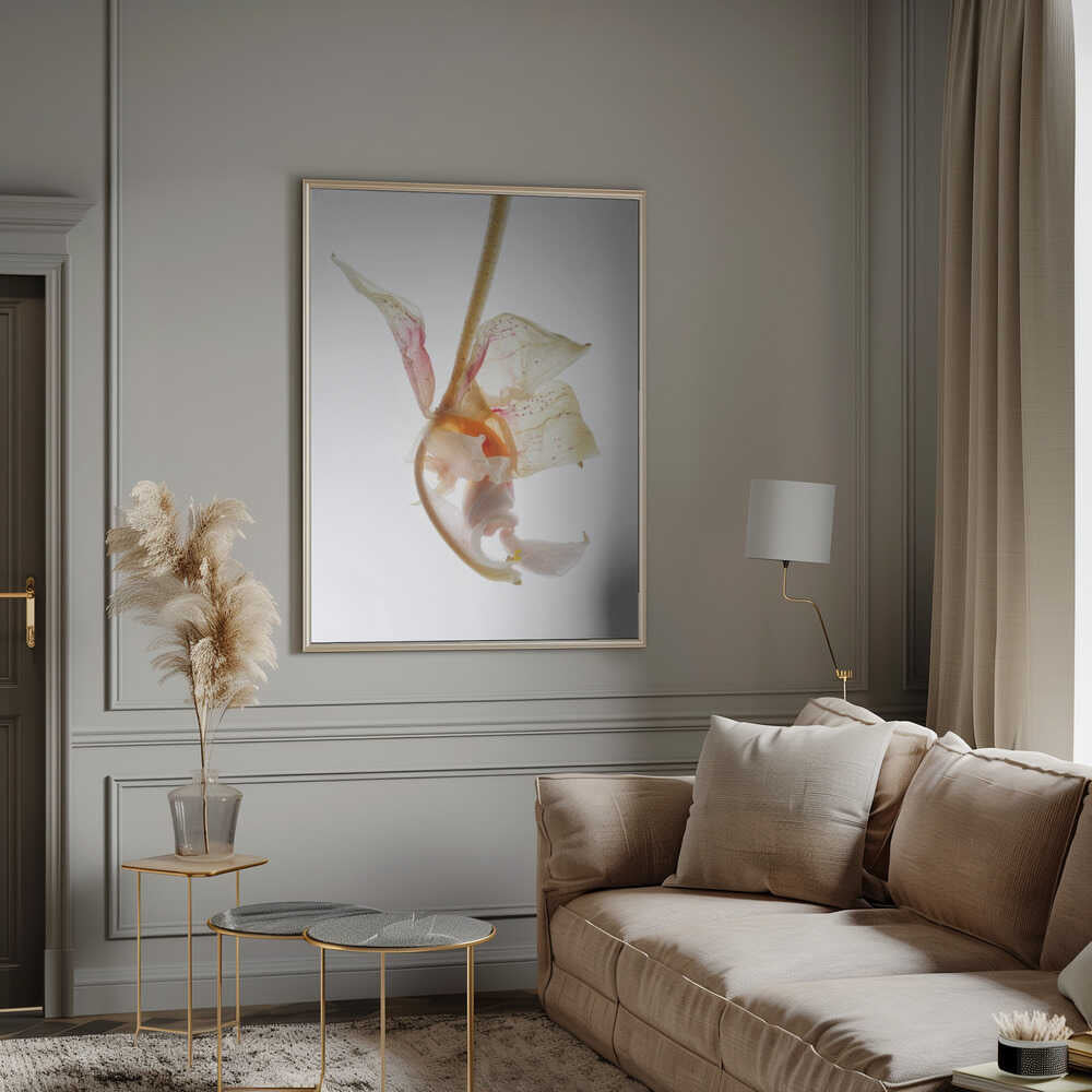 Petal Symphony Poster