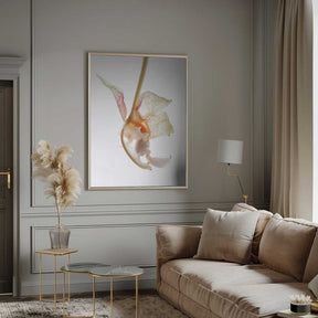 Petal Symphony Poster