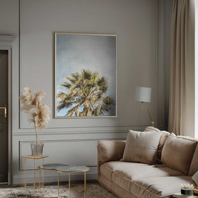 Sunlit Fronds Poster