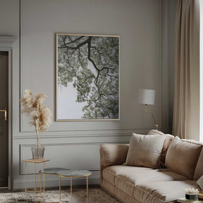 Ethereal Canopy Poster