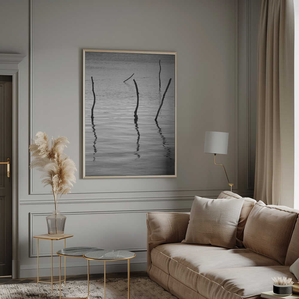 Silent Reflections Poster