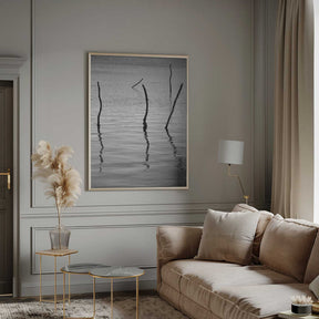 Silent Reflections Poster