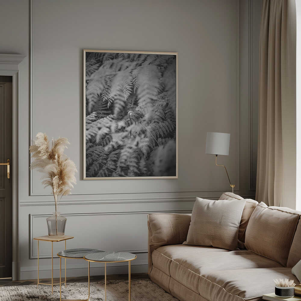 Black And White Photograph Poster