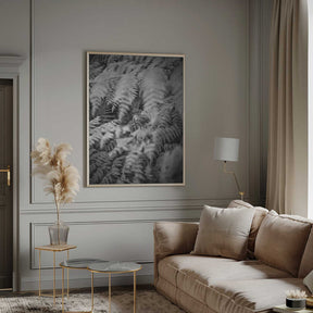 Black And White Photograph Poster